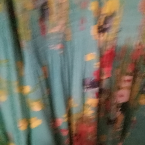 Women's Sheer Floral Print Balloon Sleeve Top - Picture 2 of 5